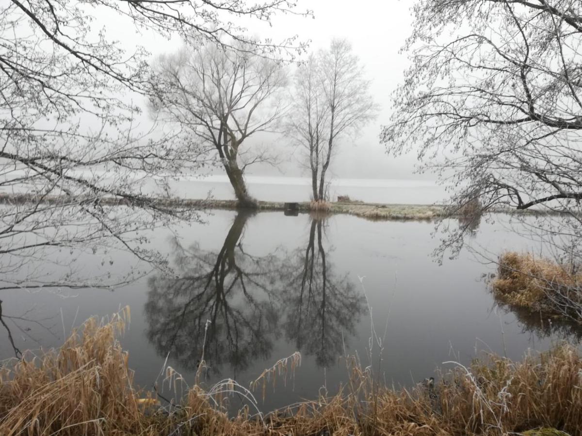 Ferienhof Schaubmeier คลาฟเฟอร์ อัม โฮคฟิทต์ ภายนอก รูปภาพ