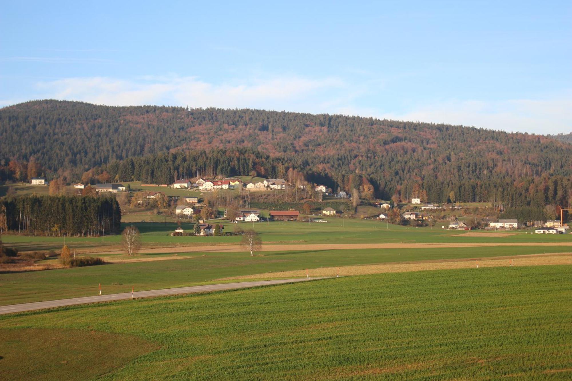 Ferienhof Schaubmeier คลาฟเฟอร์ อัม โฮคฟิทต์ ภายนอก รูปภาพ